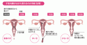 ピル使用上の注意