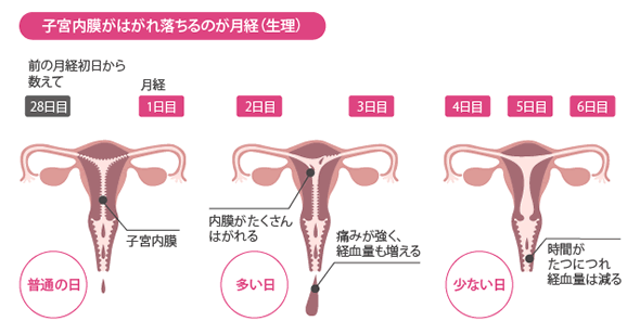 生理 早める トリキュラー28