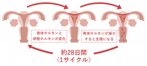 ピル使用上の注意